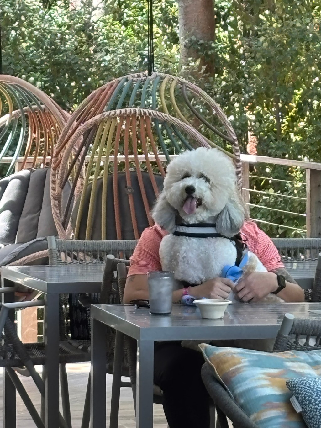 There’s a New Breed in&nbsp;Town